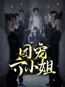 短剧团宠六小姐海报