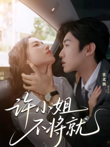 短剧许小姐，不将就海报