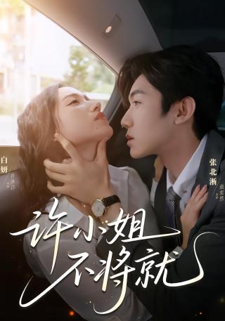 短剧许小姐，不将就海报