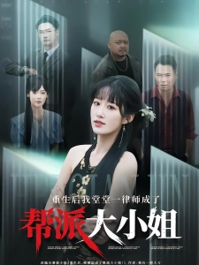 短剧重生后我堂堂一律师成了帮派大小姐海报