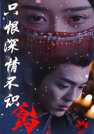 短剧只恨深情不识鸢海报