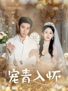 短剧宠青入怀海报