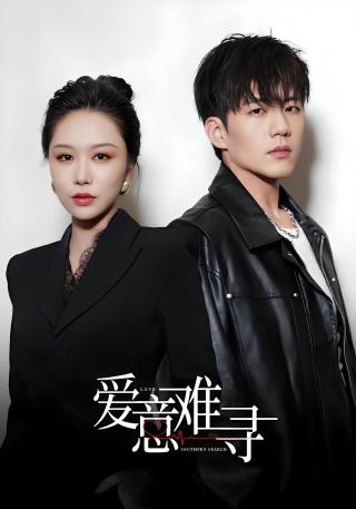 短剧爱意难寻海报