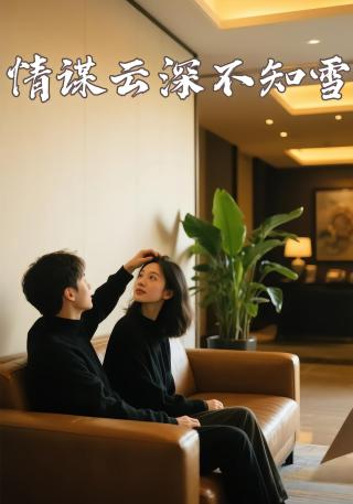 短剧情谋云深不知雪海报