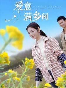 短剧爱意满乡间海报