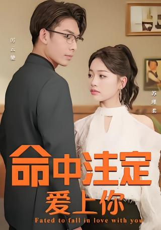 短剧命中注定爱上你海报