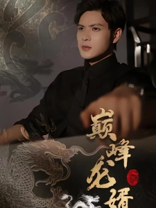 短剧巅峰龙婿海报