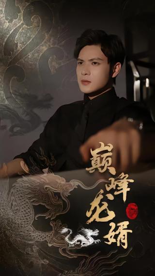 短剧巅峰龙婿海报