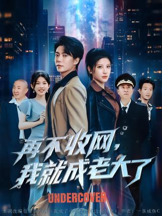 短剧再不收网，我就成老大了海报