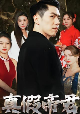 短剧真假帝君海报