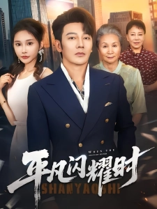 短剧平凡闪耀时海报