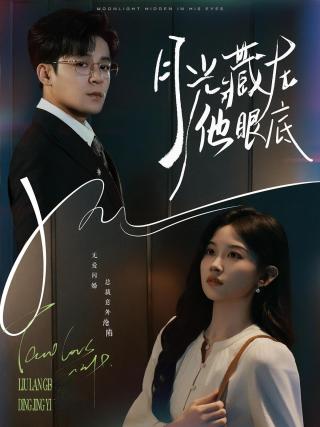 短剧月光藏在他眼底海报