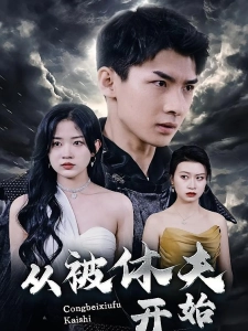 短剧从被休夫开始海报