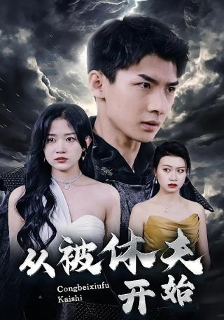 短剧从被休夫开始海报