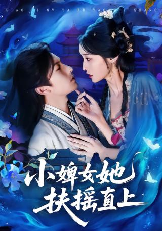 短剧小婢女她扶摇直上海报