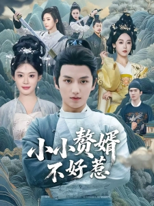 短剧小小赘婿不好惹海报