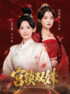 短剧宫锁双姝海报