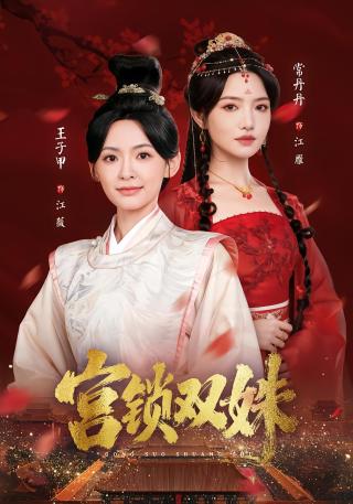 短剧宫锁双姝海报