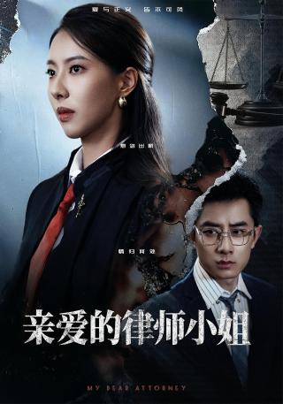 短剧亲爱的律师小姐海报