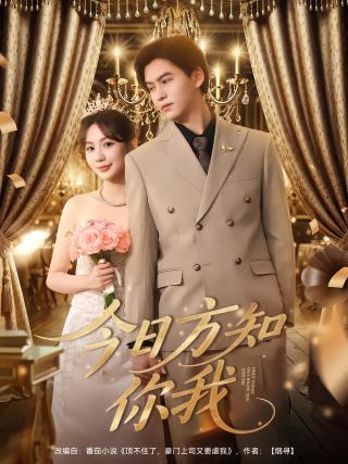 短剧今日方知你我海报