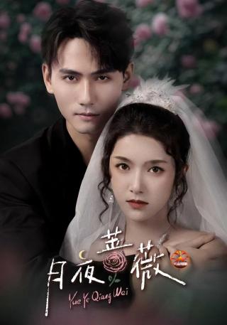 短剧月夜蔷薇海报