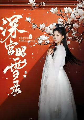 短剧深宫昭雪录海报