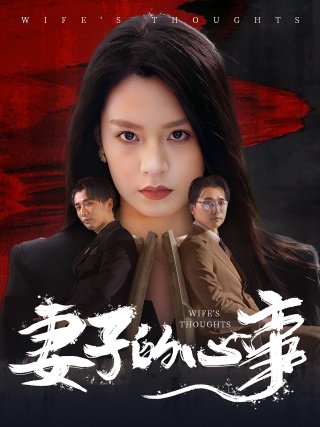 短剧妻子的心事海报