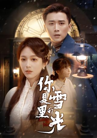 短剧你是雪里的光海报