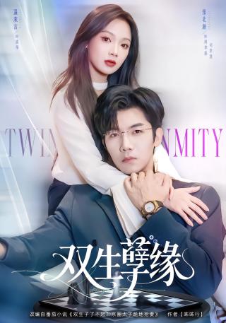 短剧双生孽缘海报