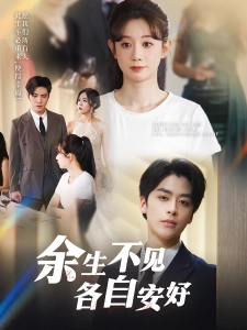 短剧余生不见各自安好海报