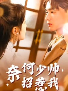 短剧奈何少帅招惹我海报