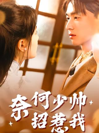 短剧奈何少帅招惹我海报