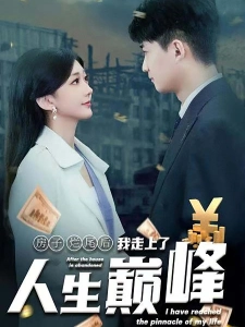 短剧房子烂尾后我走上了人生巅峰海报