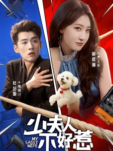 短剧少夫人不好惹海报