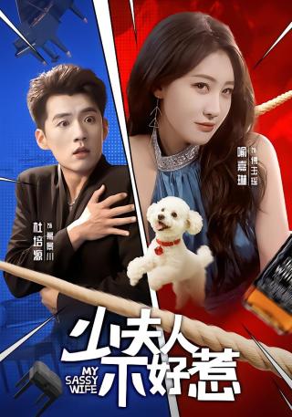 短剧少夫人不好惹海报