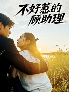 短剧不好惹的顾助理海报