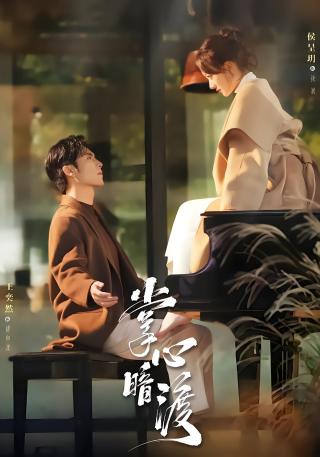 短剧掌心暗渡海报