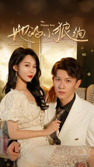 短剧她的小狼狗海报