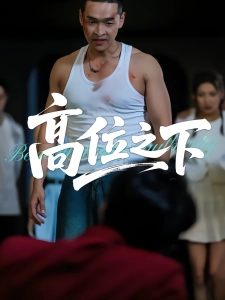 短剧高位之下海报