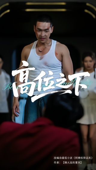 短剧高位之下海报