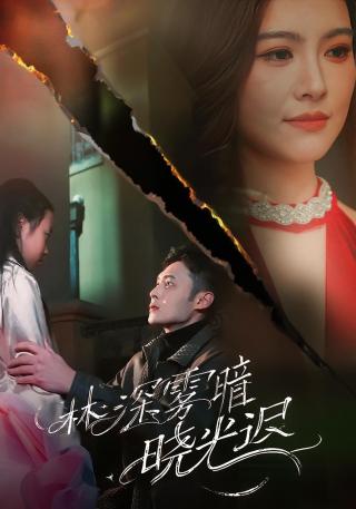 短剧林深雾暗晓光迟海报