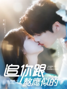 短剧追你跟熬鹰似的海报