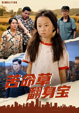 短剧苦命草翻身宝海报