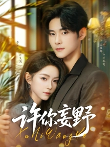 短剧许你妄野海报