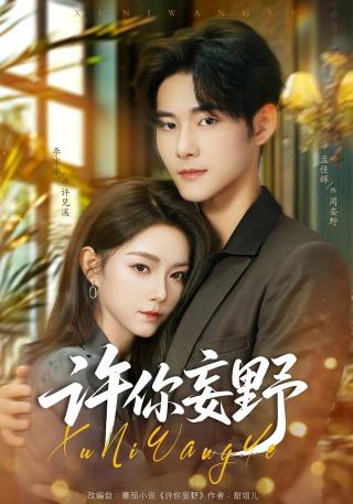 短剧许你妄野海报