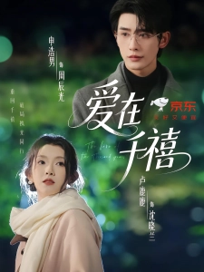 短剧爱在千禧海报