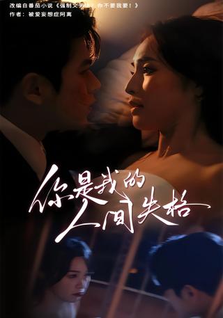 短剧你是我的人间失格海报