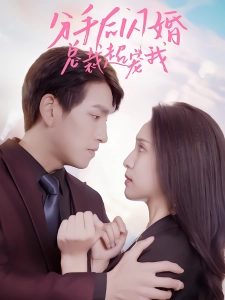 短剧分手后闪婚总裁超宠我海报