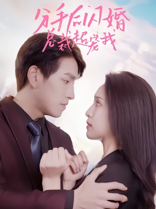 短剧分手后闪婚总裁超宠我海报