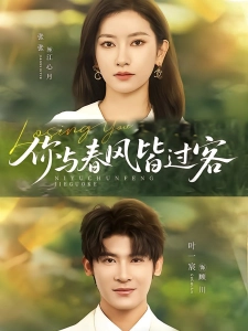 短剧你与春风皆过客海报